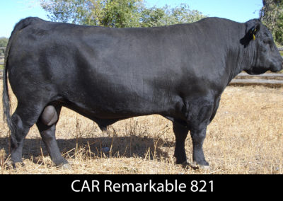 CAR Remarkable 821 #19292977