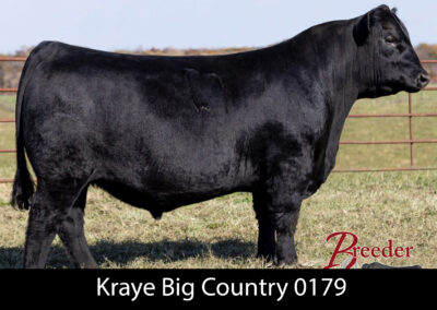 Big Country 0179